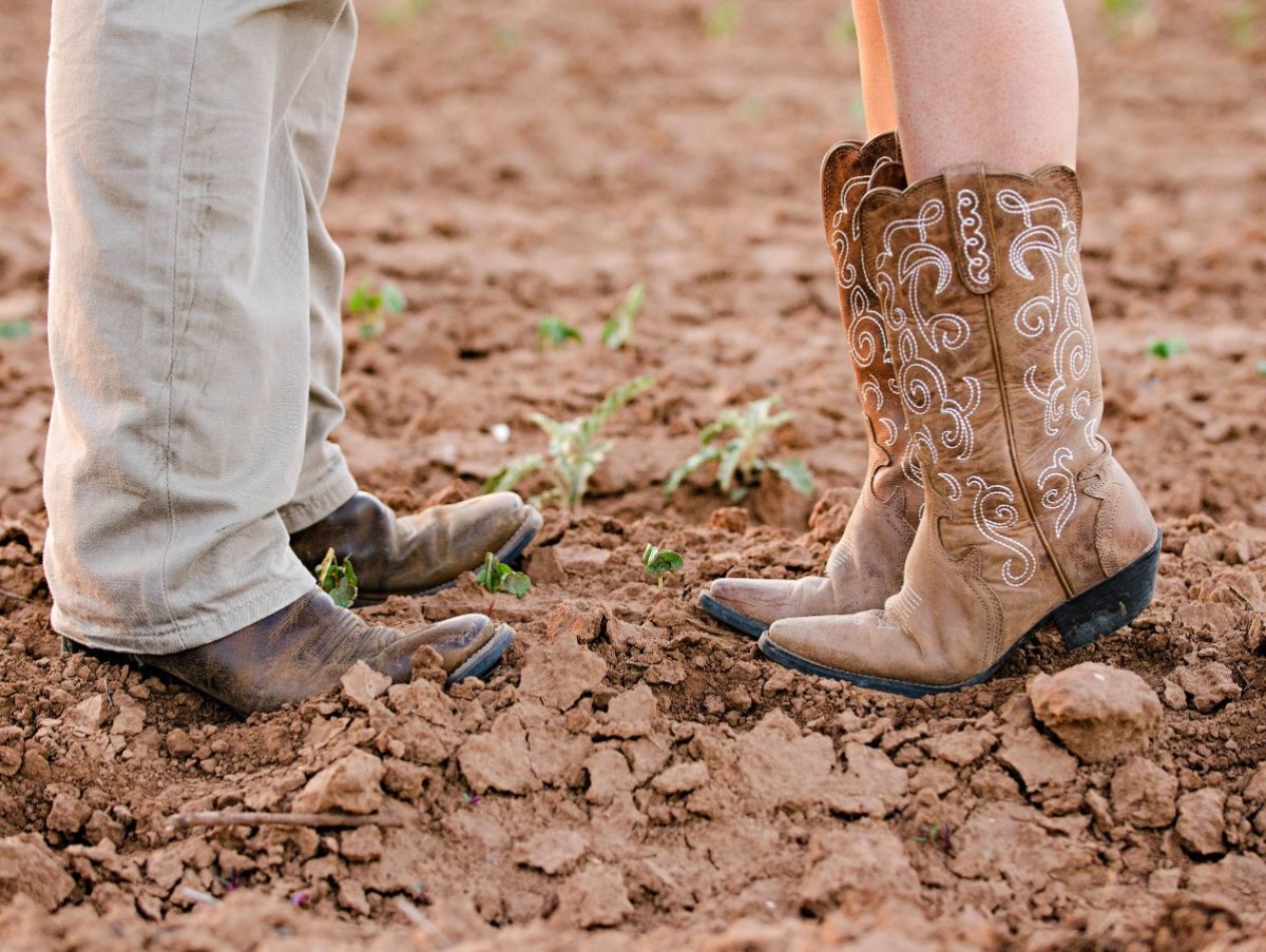 El boom de las botas cowboy